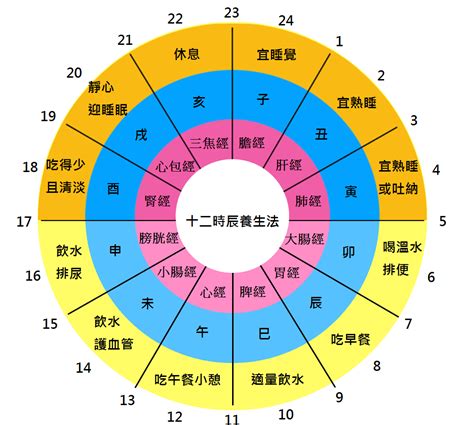 中醫時辰表|一張圖看十二經絡養生時間表，依循作息養生事半功。